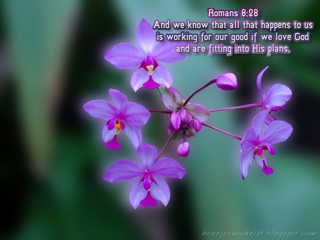 1030x770 Christian Wallpaper: Bible Verse, Desktop