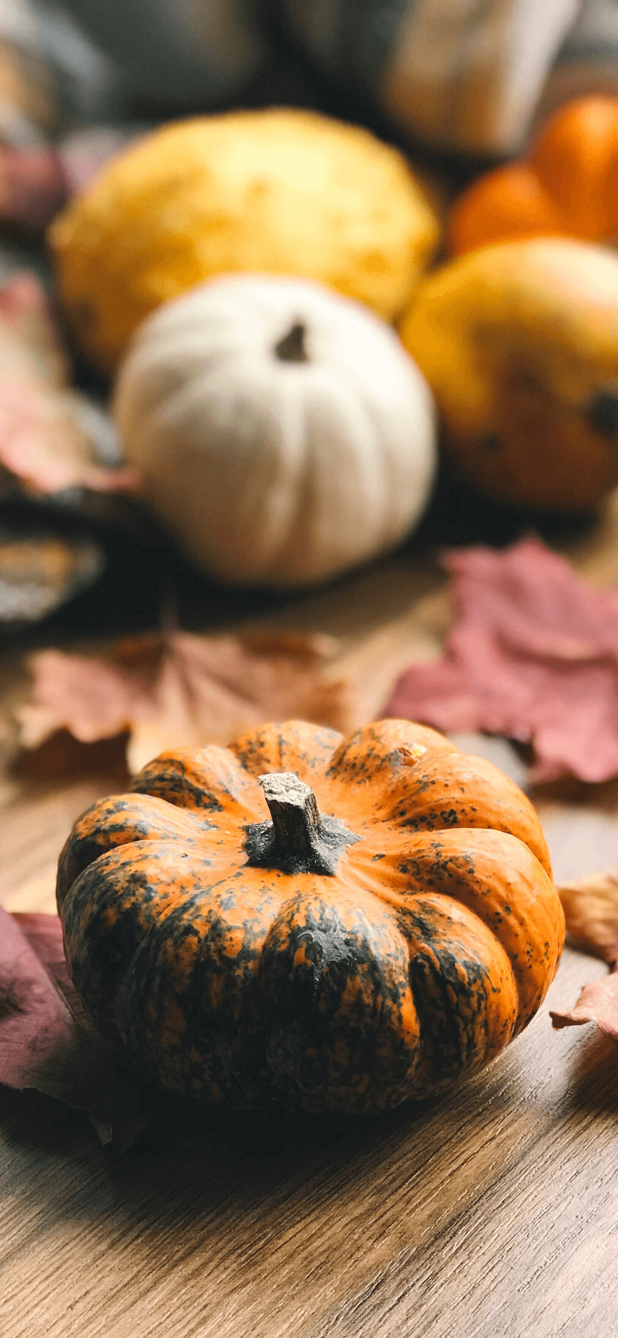 1250x2690 Pumpkin wallpaper for iPhone: download them now!, Phone