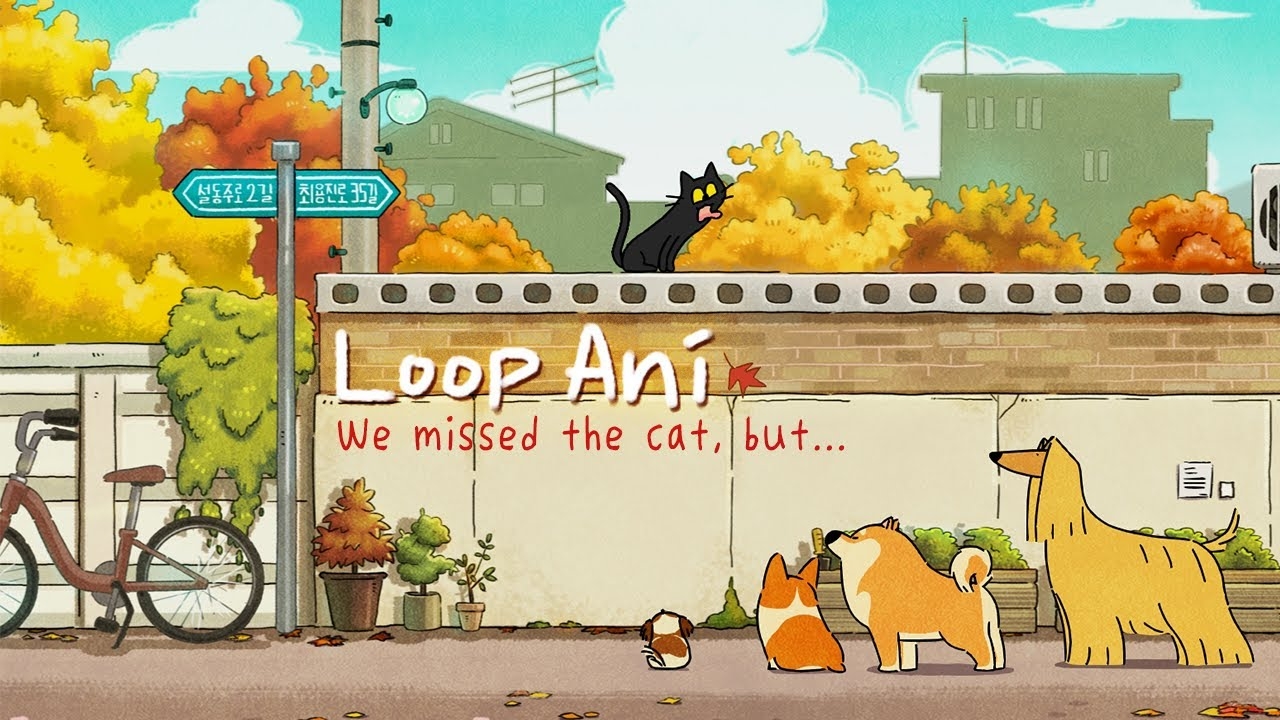 1280x720 Missed The Cat, But, loop animation, Doggie Corgi, Desktop