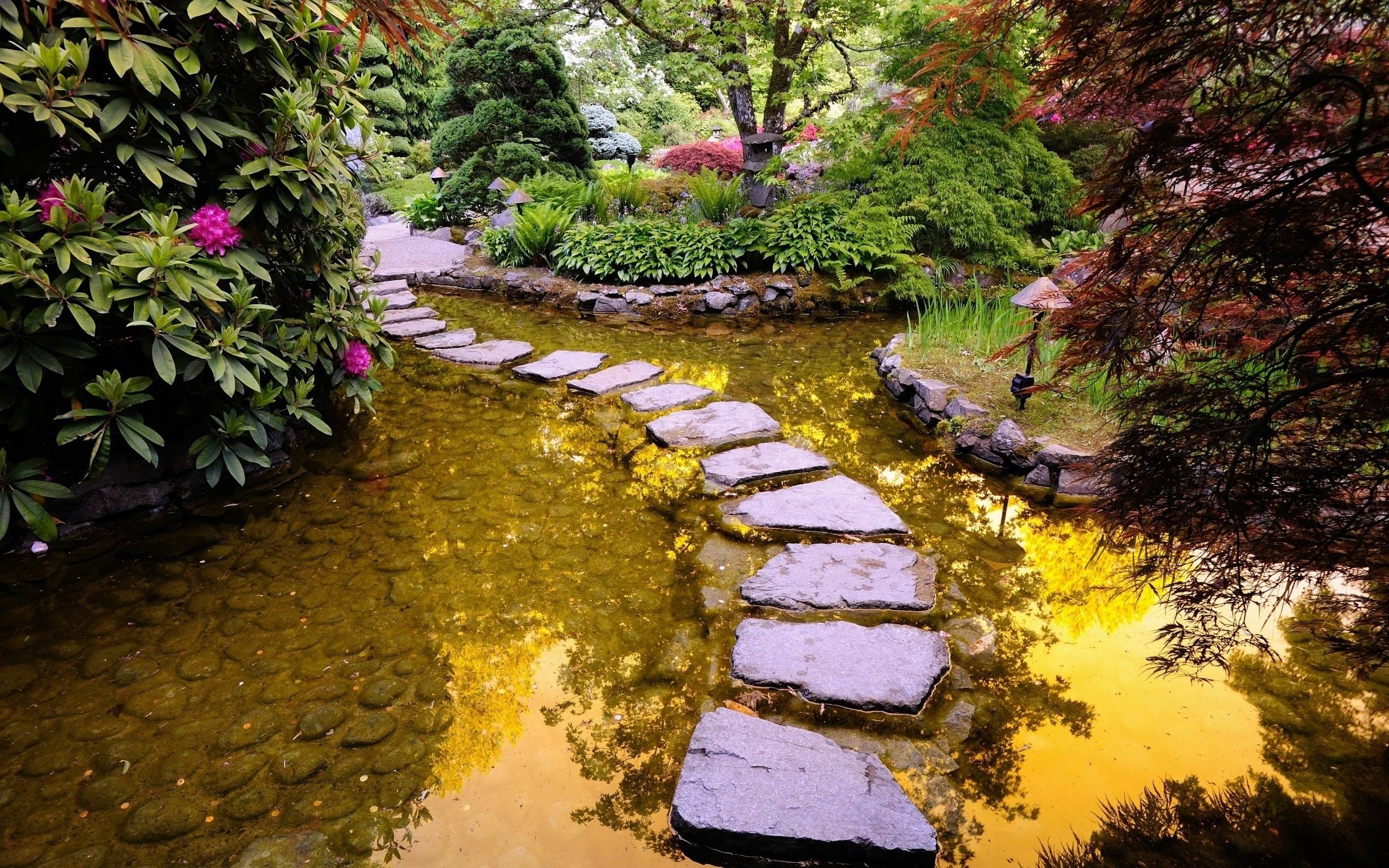 2560x1600 Free Path In Garden Pond Wallpaper, Free Path In Garden Pond HD, Desktop