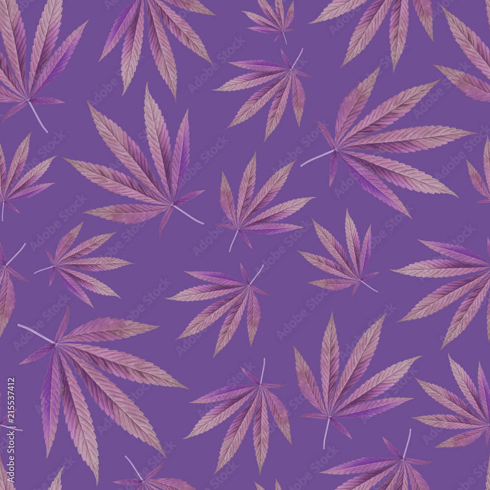 1000x1000 Seamless pattern with Marijuana, weed, dope leaves. purple Background texture. Textile, Wallpaper concept Stock Illustration, Phone