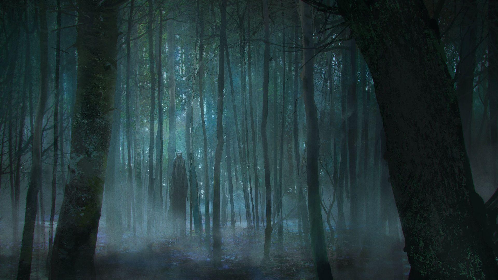 1920x1080 Creepy Dark Forest HD Wallpaperx1080, Desktop