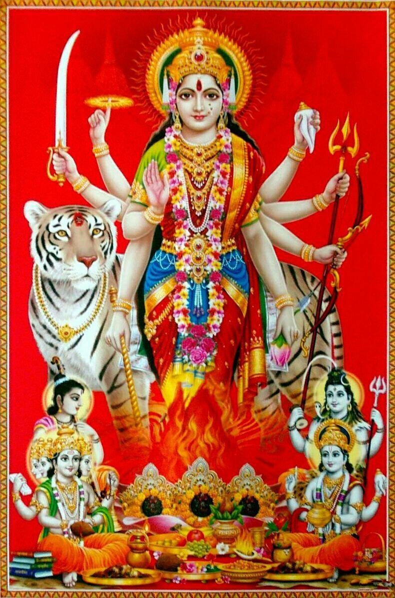 790x1200 Durga Maa Wallpaper for Android, Phone