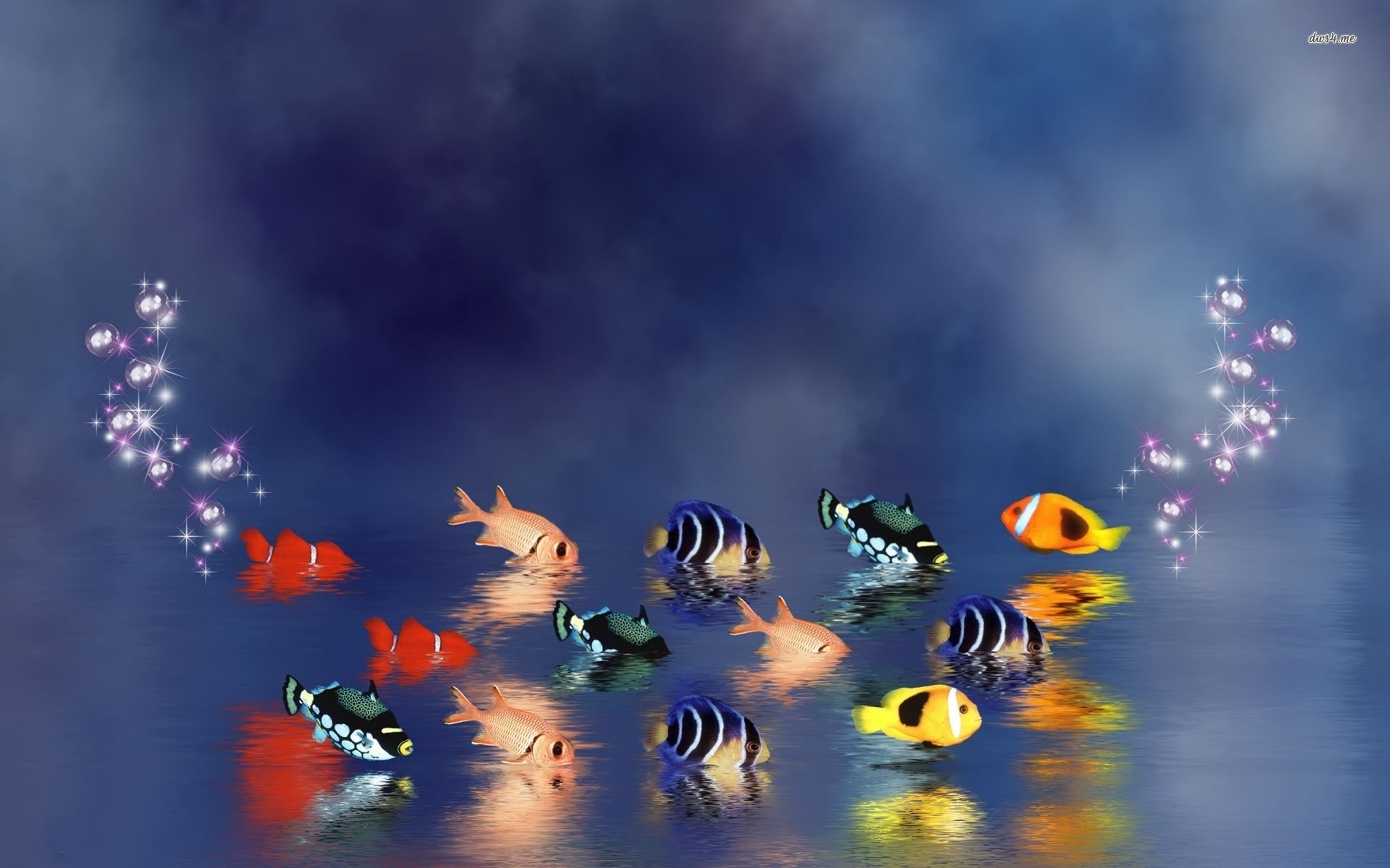 1920x1200 Fish Wallpaper Art, Desktop