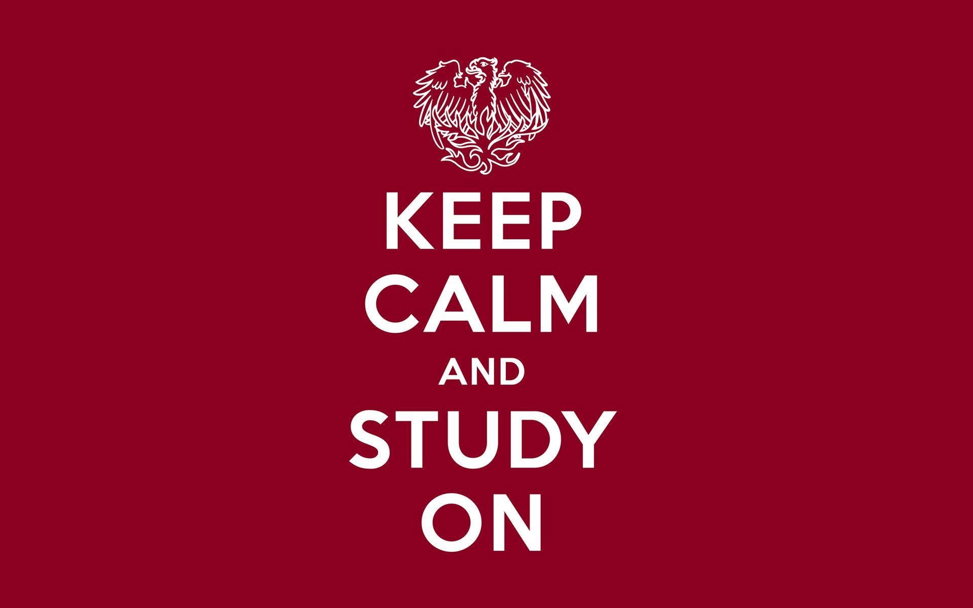 1920x1200 Keep Calm And Study Full HD Wallpaper HD Wallpaper #ID53565, Desktop