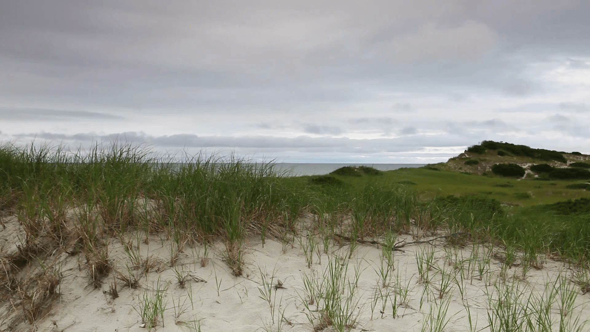 1920x1080 Sand dunes beach on the Cape Cod National Seashore on the Atlantic, Desktop