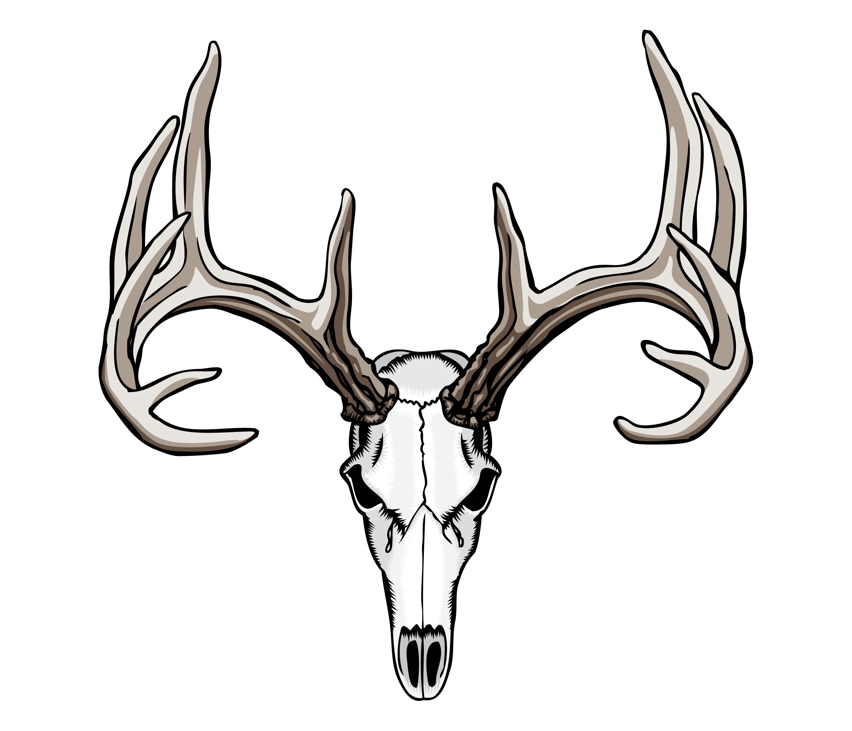 2800x2400 Whitetail Deer Skull Tattoos Art Nouveau Deer, Desktop