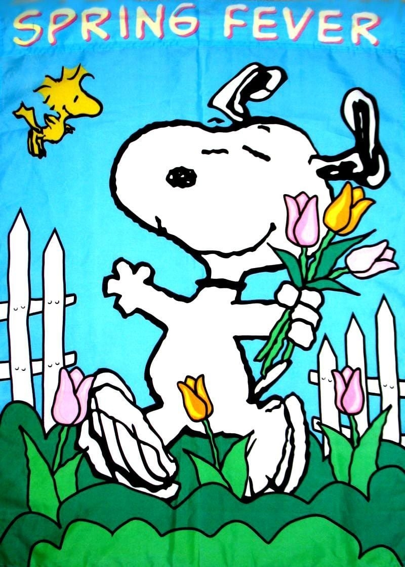 800x1120 Snoopy Spring Desktop Wallpaper, Phone