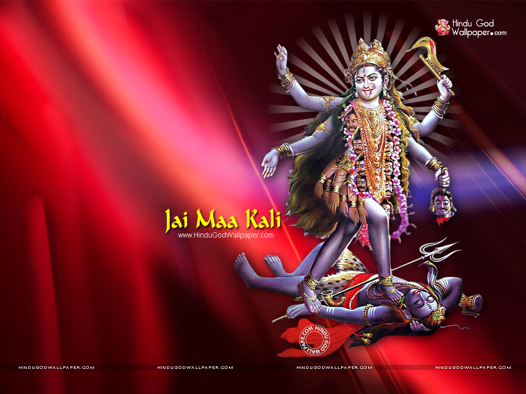 1030x770 Kali Wallpaper, Desktop