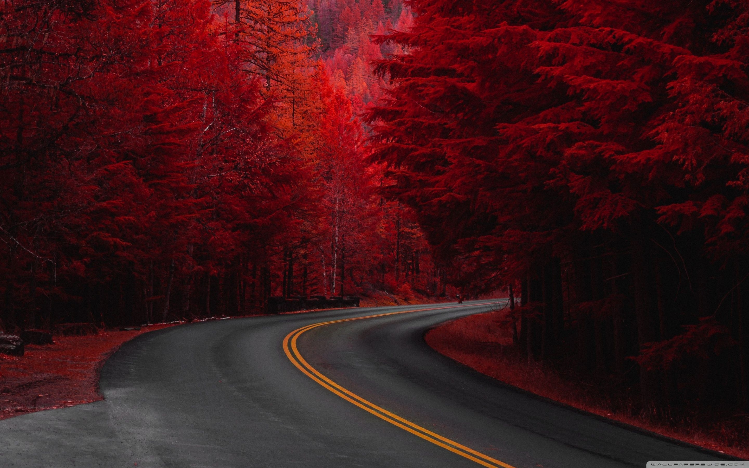 2880x1800 Download Autumn, Road, Aesthetic UltraHD Wallpaper, Desktop