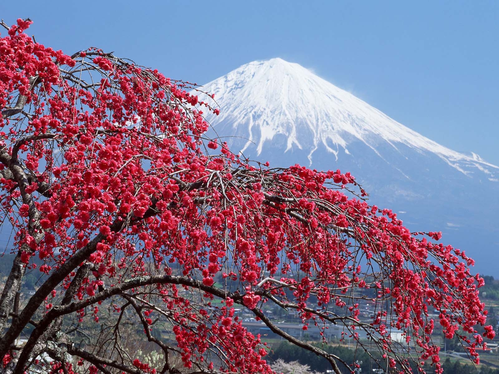 1600x1200 Beautiful Mount Fuji Wallpaper (29 Photo), Desktop