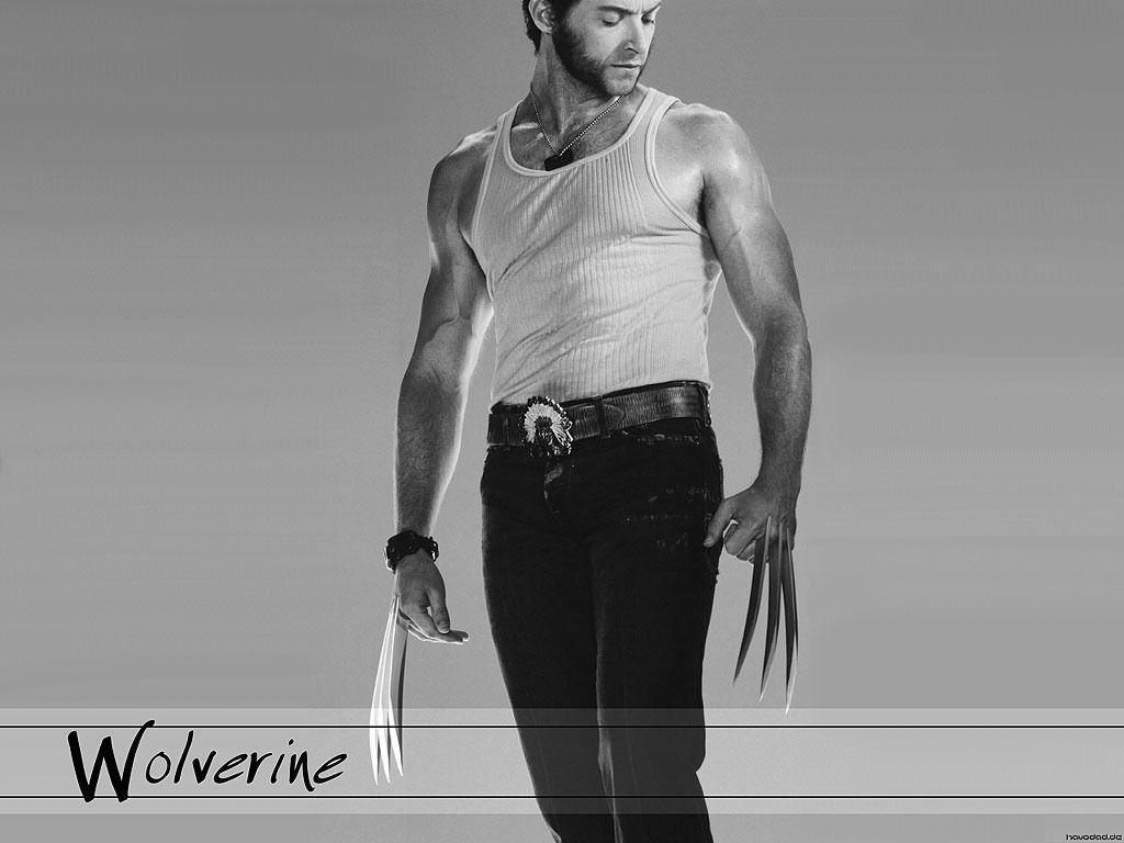 1030x770 Wolverine Jackman as Wolverine Wallpaper, Desktop