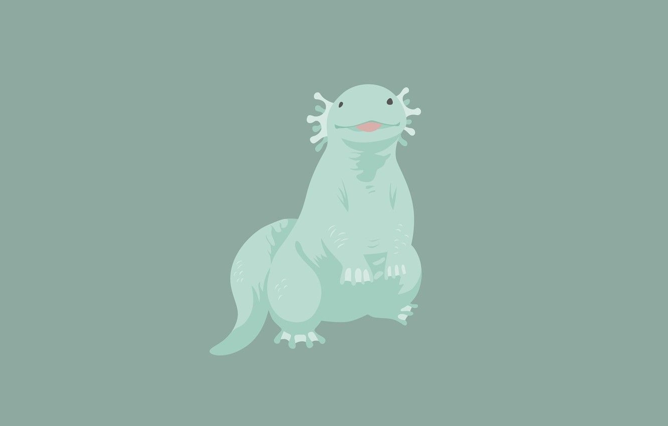 1340x850 Axolotl Wallpaper Free Axolotl Background, Desktop