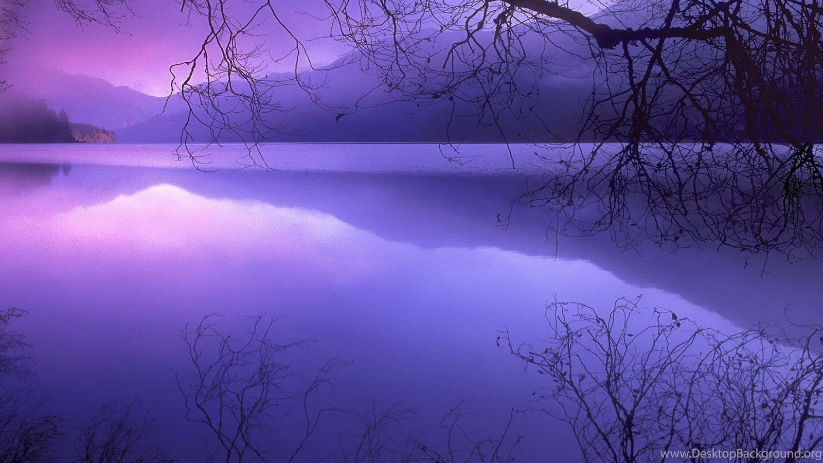 1600x900 Purple Haze, Winter, 1920x1080 HD Wallpaper And FREE Desktop Background, Desktop