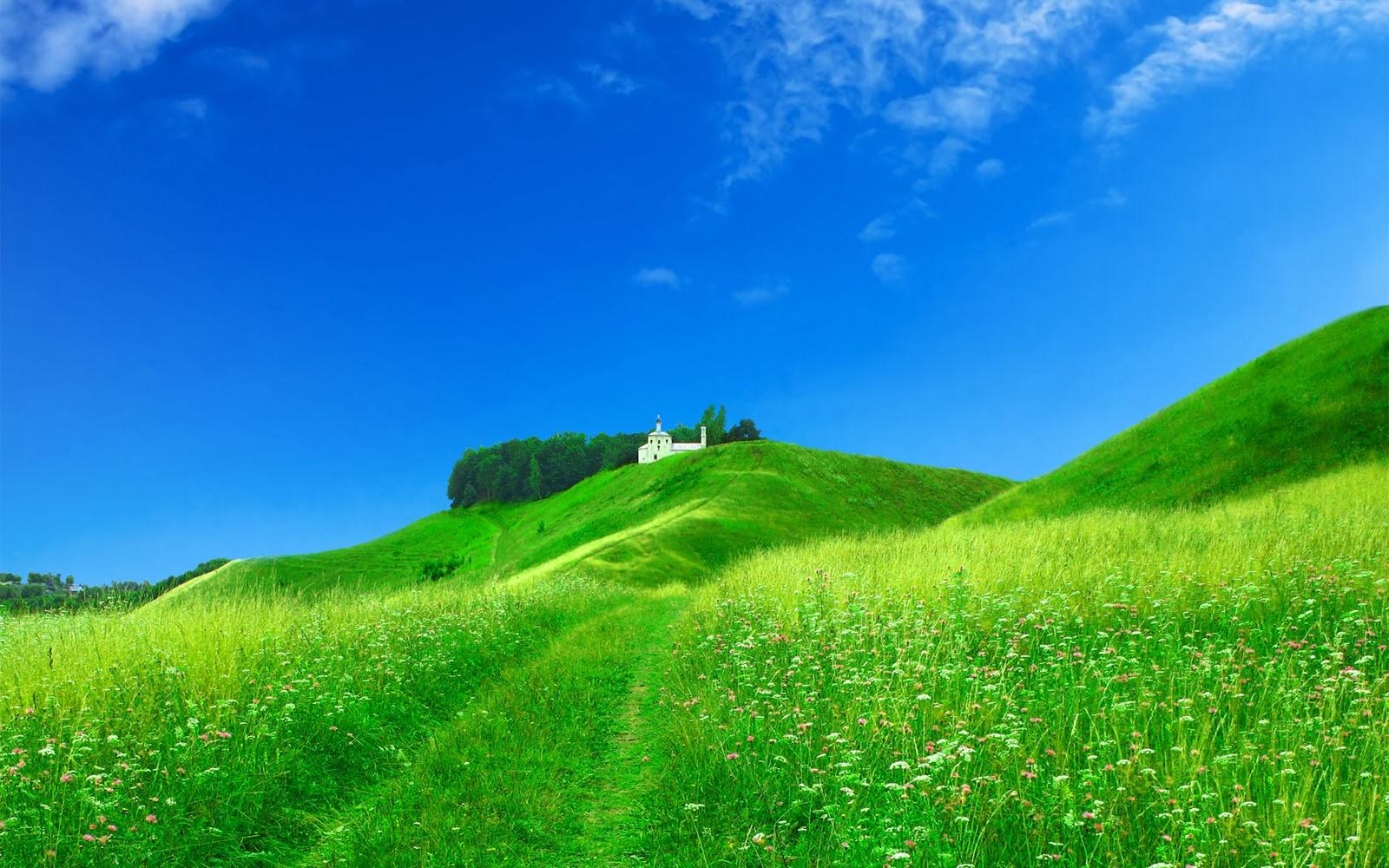 1600x1000 Grassy Hills Wallpaper Wallpaper Desktop, Desktop