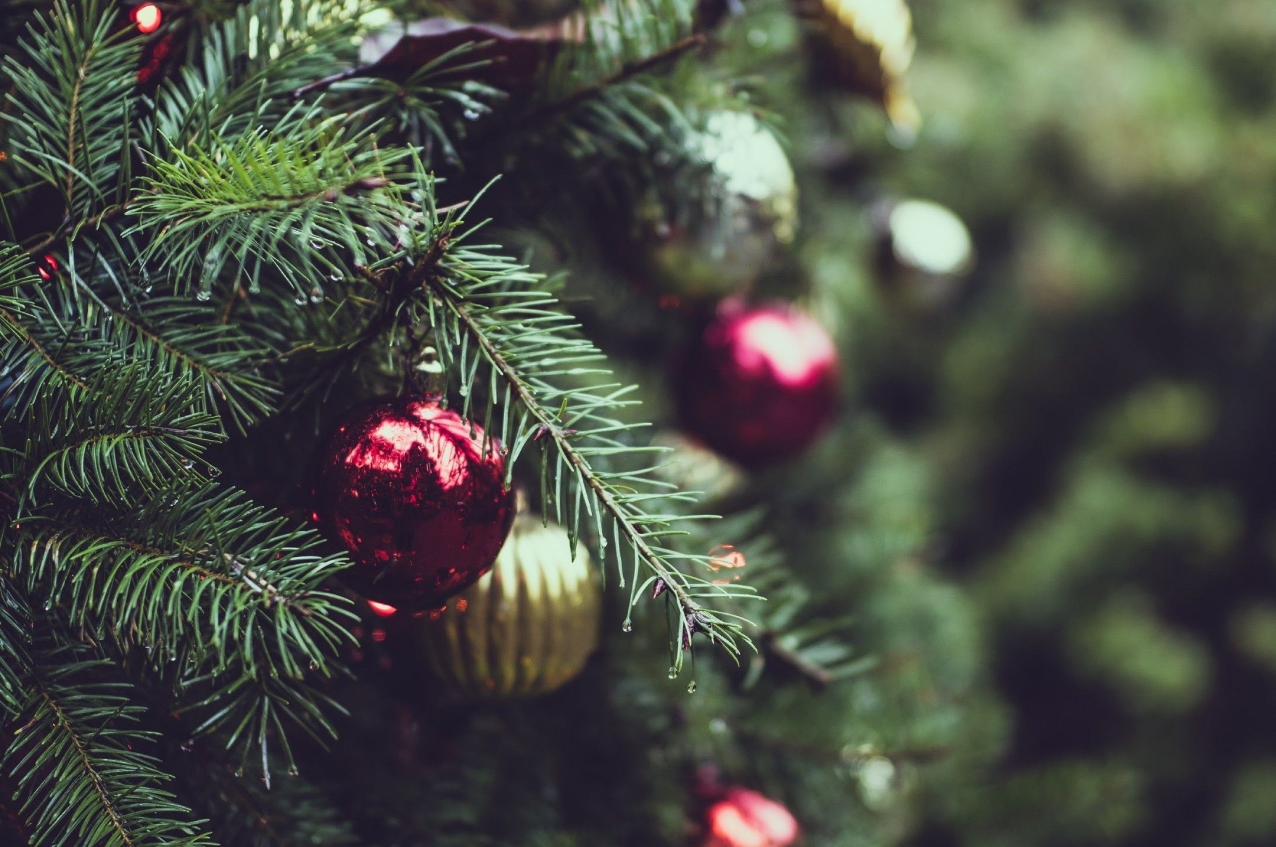 2560x1700 Download  Christmas Tree, Ornaments, Close Up, Blurred Wallpaper For Chromebook Pixel, Desktop