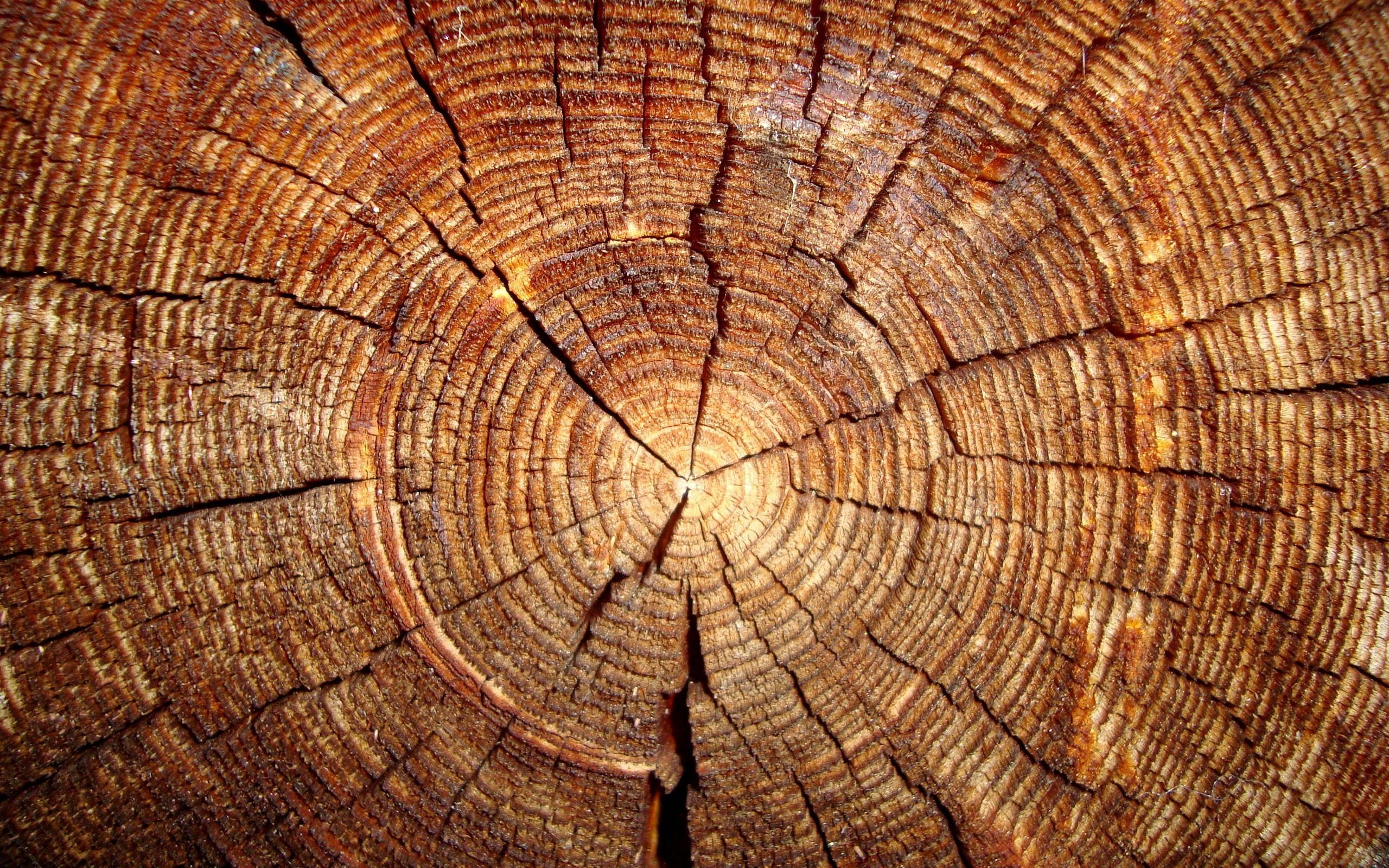 2560x1600 Wood HD Wallpaper 12, Desktop