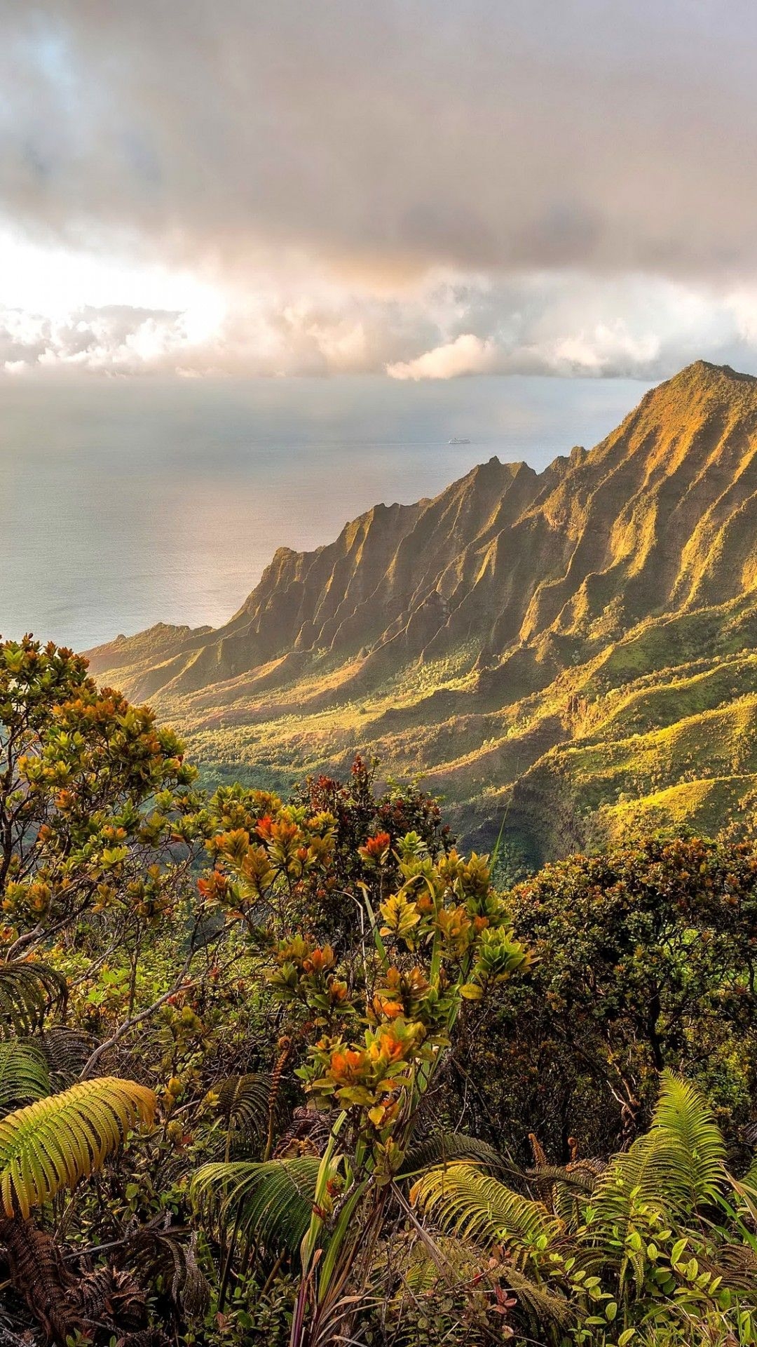1080x1920 Hawaii iPhone Wallpaper Free Hawaii iPhone Background - Hawaii photography, Hawaii picture, Pretty places, Phone