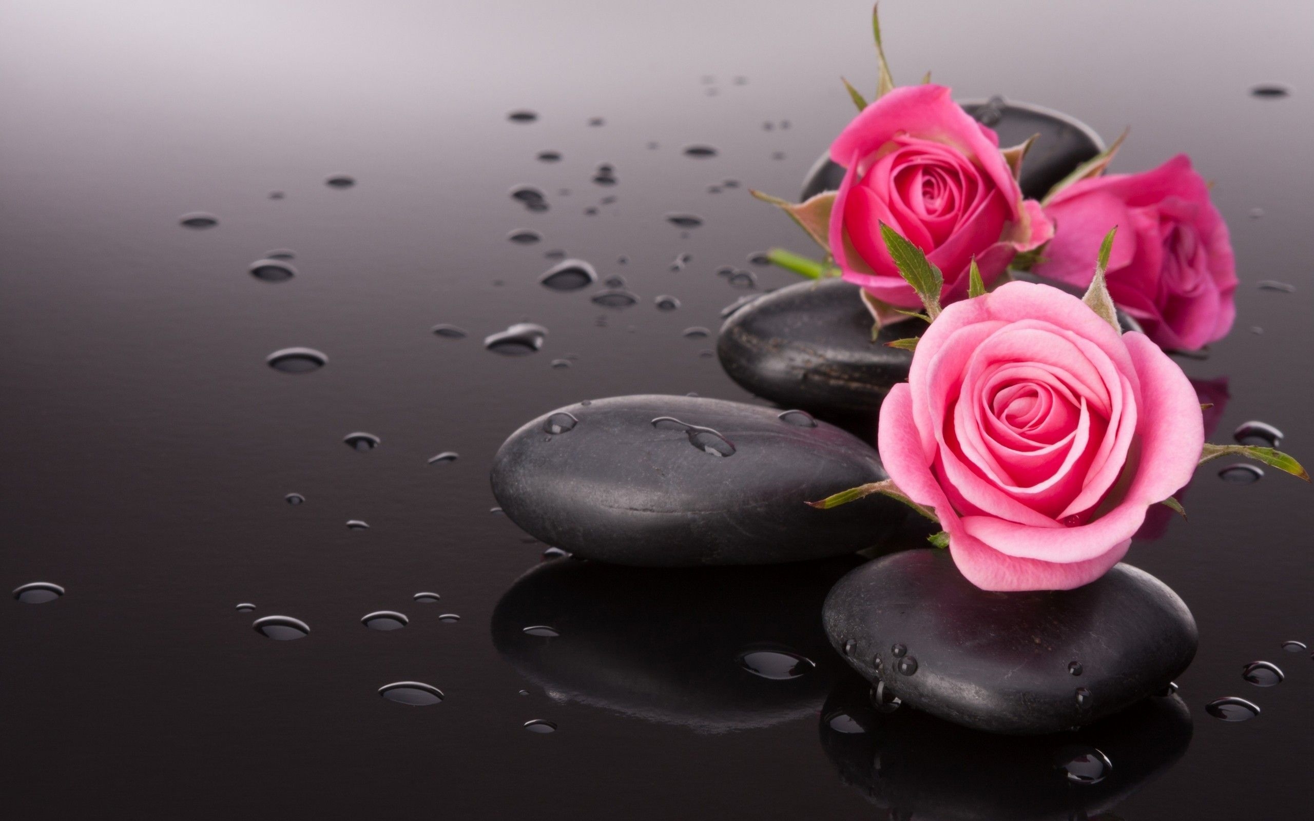 2560x1600 Beautiful Dp For Whatsapp Wallpaper & Background, Desktop