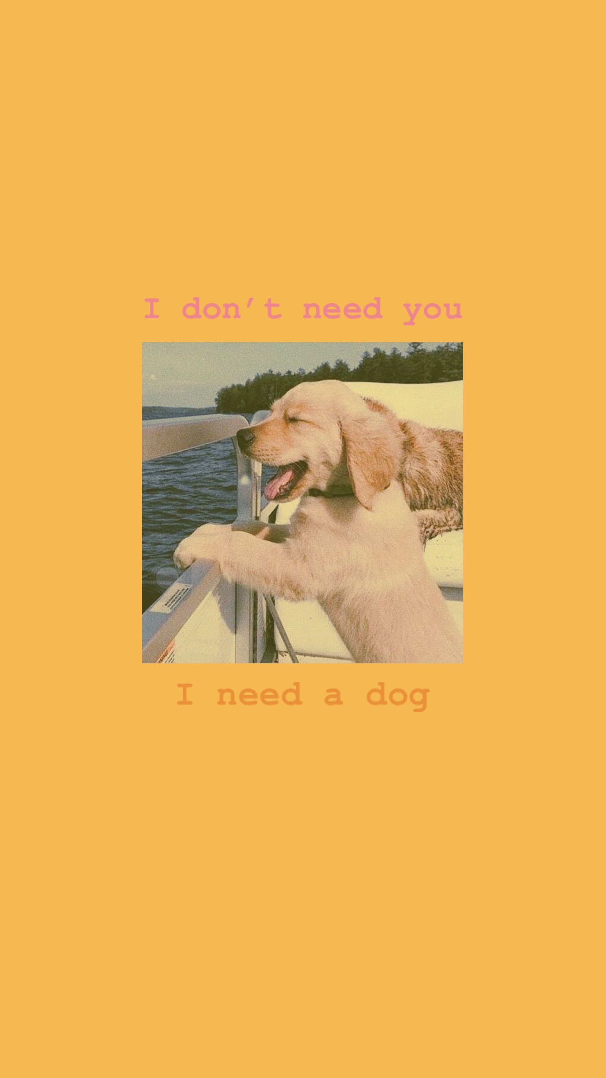 2100x3730 Обои для телефона. Cute dog wallpaper, Dog wallpaper iphone, Dog wallpaper, Phone