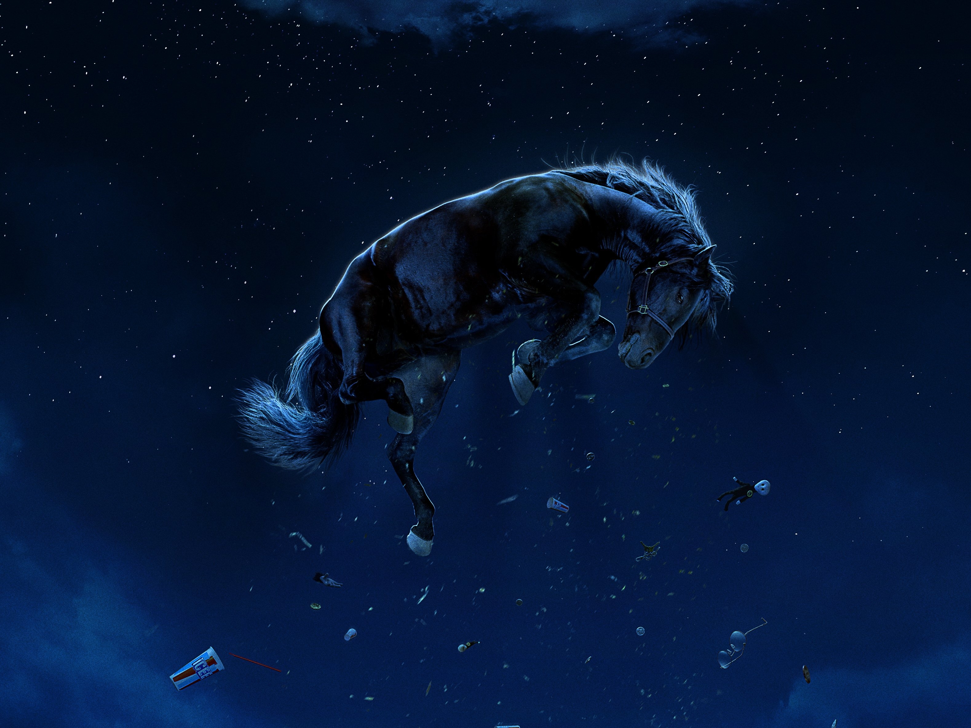 3160x2370 Nope HD Wallpaper and Background, Desktop