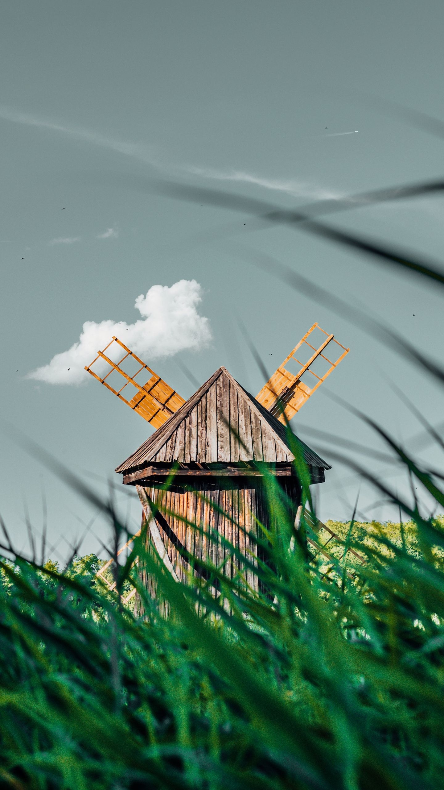 1440x2560 Download wallpaper  windmill, Phone