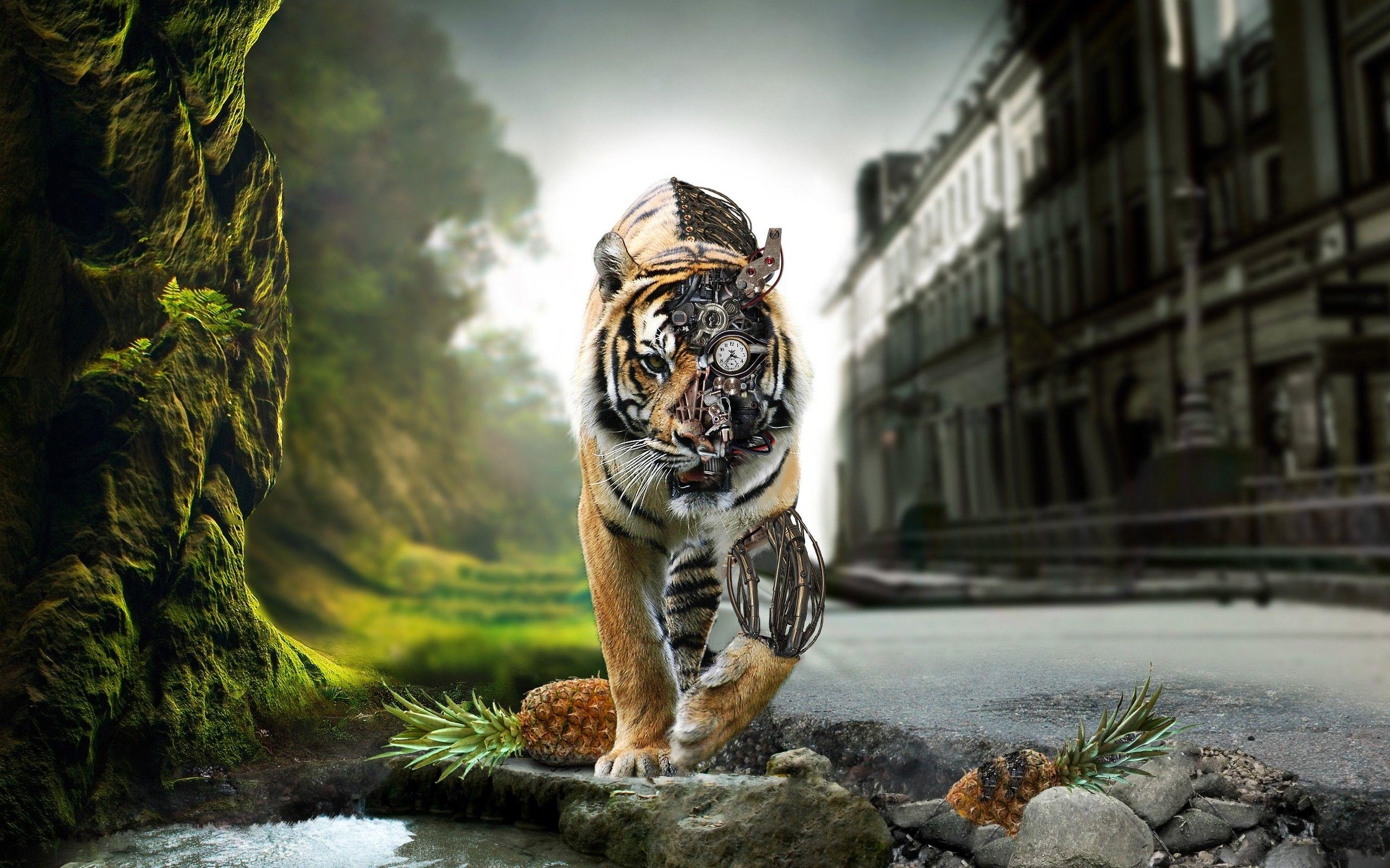 2560x1600 Tiger Wallpaper. Best Wallpaperpicswalls.com, Desktop