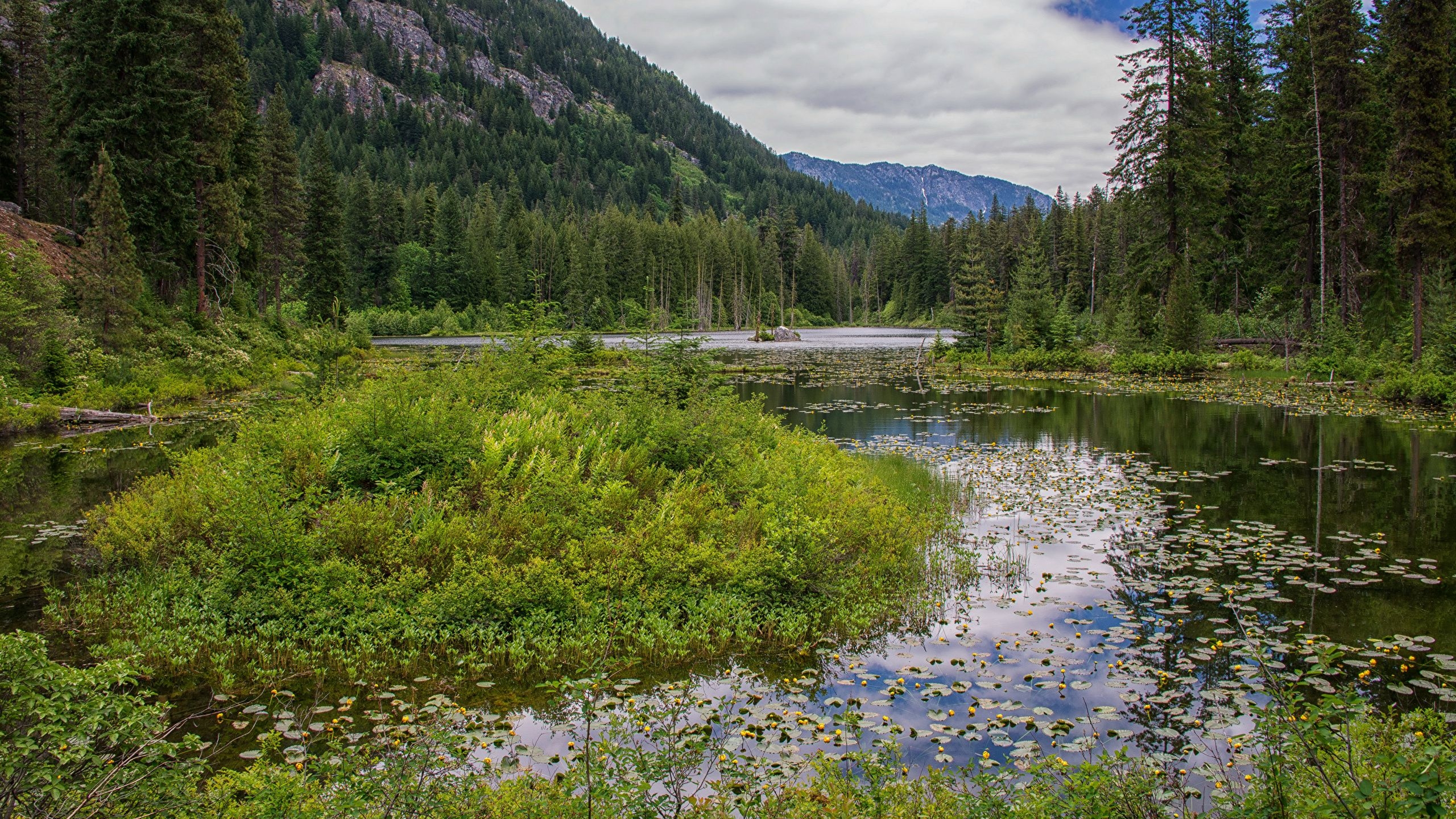 2560x1440 image USA Howard Lake North Cascades National Park Nature, Desktop