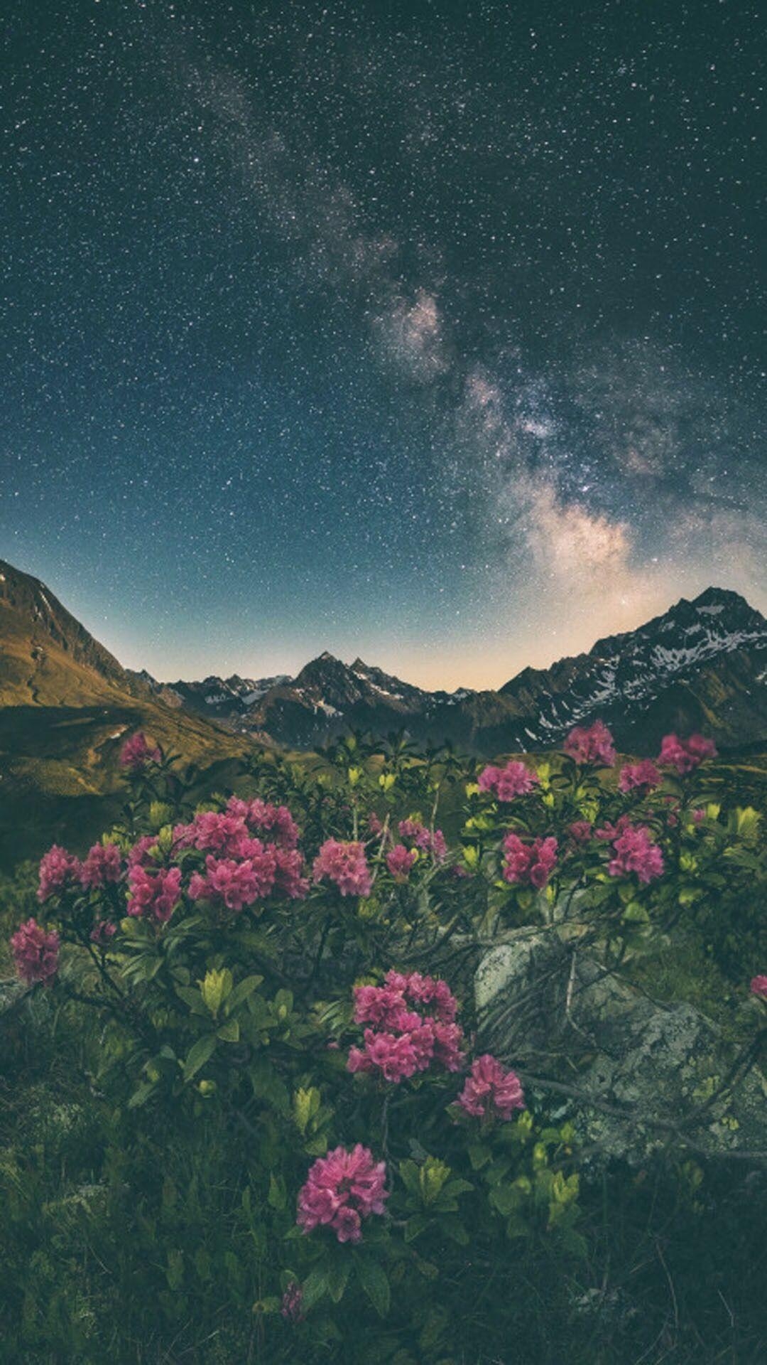 1080x1920 Aesthetic Nature Wallpaper Free Aesthetic Nature, Phone