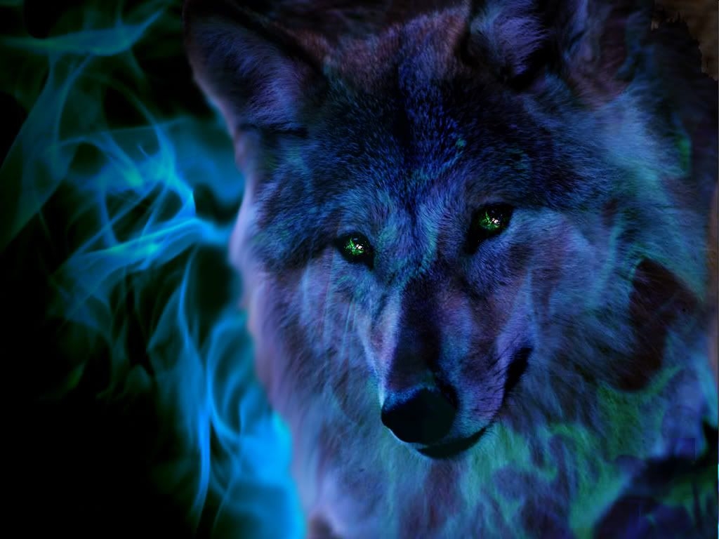 1030x770 Fire Wolf Wallpaper, Desktop