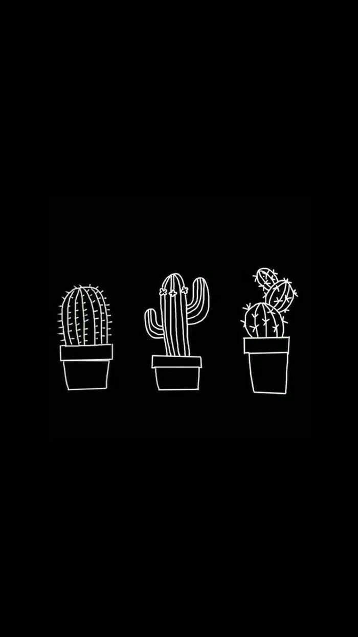 700x1250 tumblr #black #white #blackandwhite #cactus #kaktüs #aesthetic #wallpaper #background #freetoe. Cute black wallpaper, Black aesthetic wallpaper, Black wallpaper, Phone