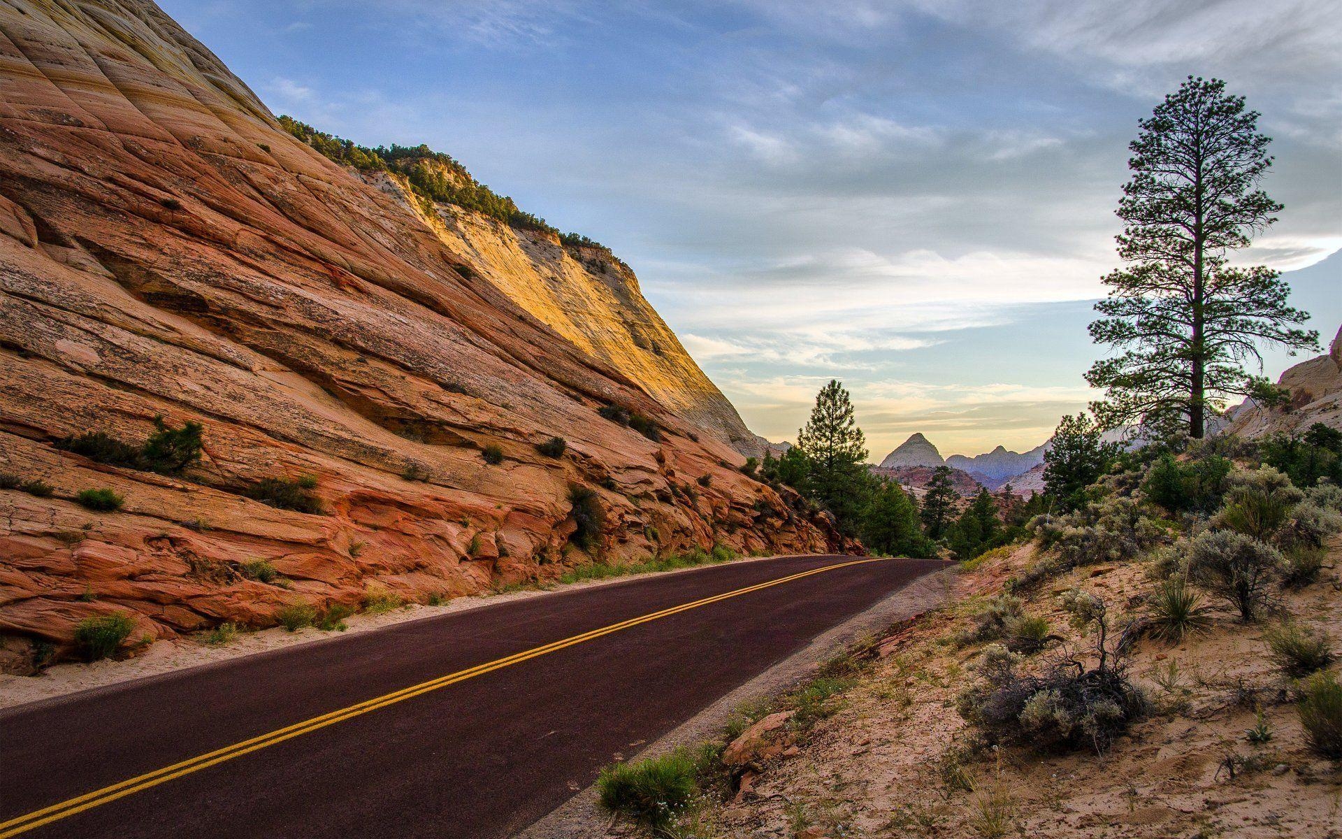 1920x1200 leaving zion national park utah. summer rock road tree mountain HD, Desktop