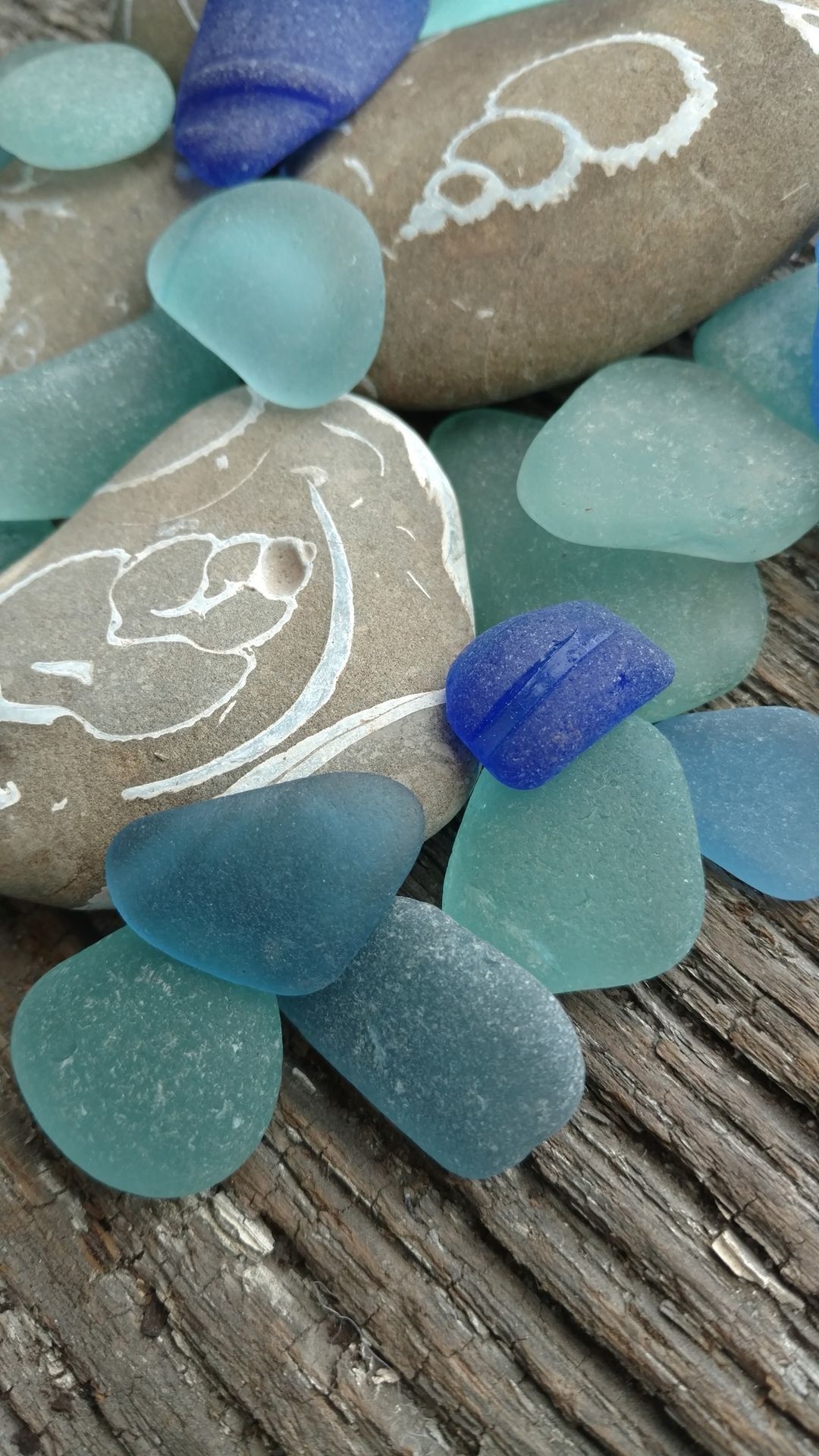 1080x1920 LBI Sea Glass and Art Festival. Ocean County Moms, Phone