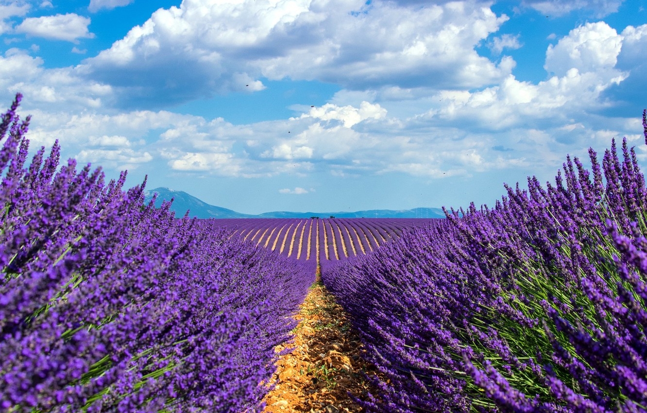 1340x850 Wallpaper field, the sky, lavender image for desktop, section природа, Desktop