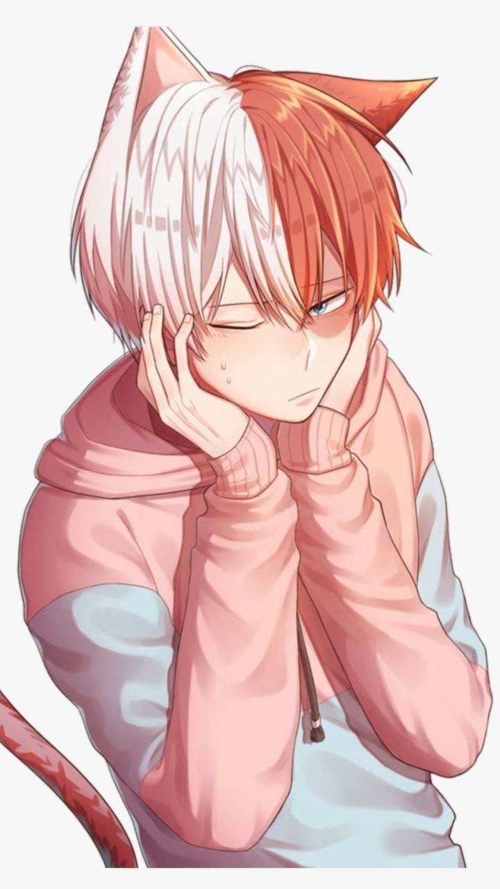 720x1280 Shoto todoroki cute wallpaper, Phone