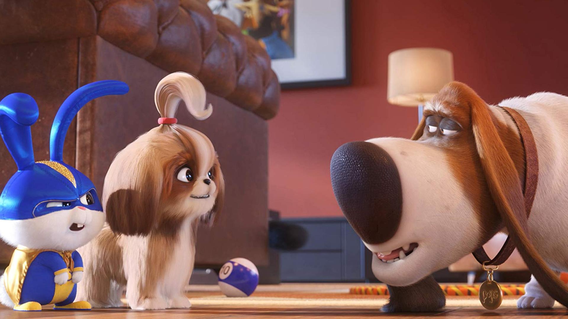 1920x1080 Deep Bond Between Families & Pets In “The Secret Life Of Pets”, Desktop