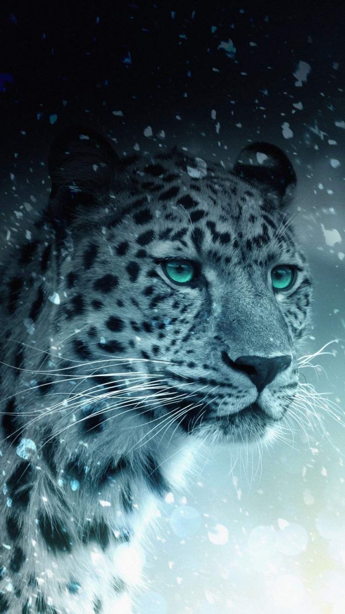 700x1250 iPhone Wallpaper for iPhone iPhone 11 and iPhone X, iPhone Wallpap. Snow leopard wallpaper, Leopard wallpaper, Animal wallpaper, Phone