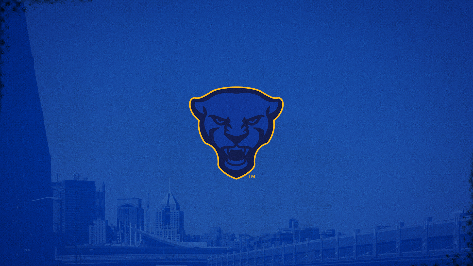 1920x1080 Wallpaper: Mobile and Desktop Panthers #H2P, Desktop