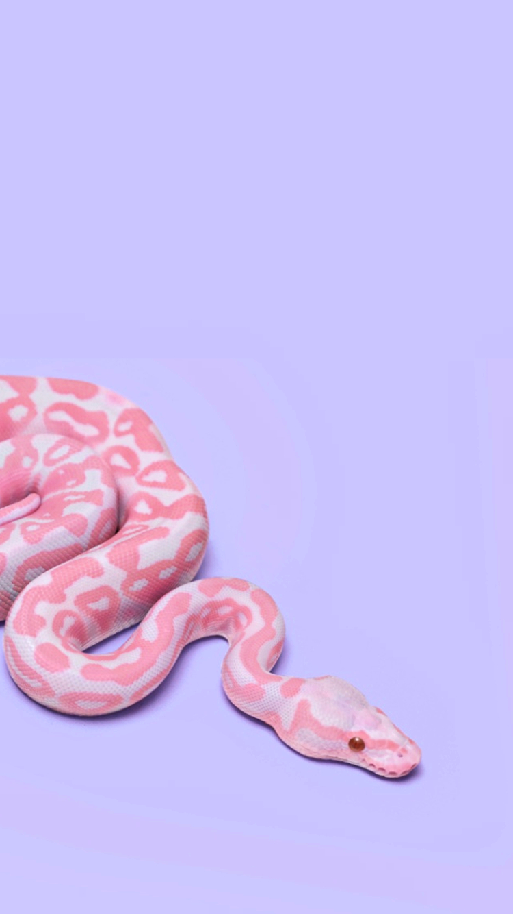 750x1340 Cute Snake Wallpaper Free Cute.wallpaperaccess.com, Phone