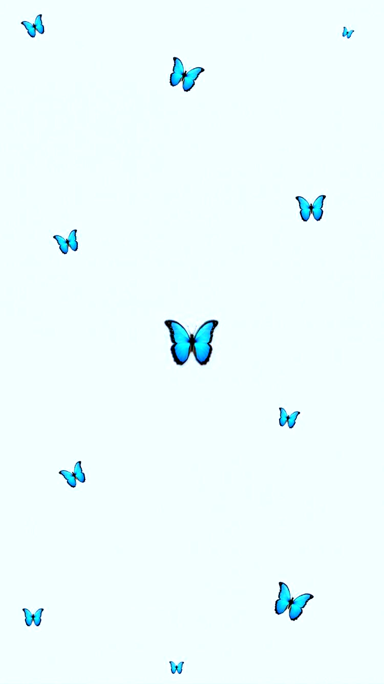 750x1340 aesthetic #butterfly #wallpaper #tumblr #babyblue #blue #minimalistic. Boneka hewan, Hewan, Phone