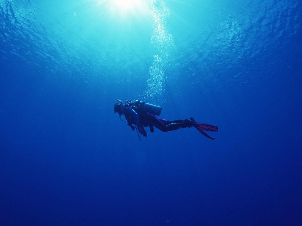 1030x770 scuba_diving_wallpaper_, Desktop