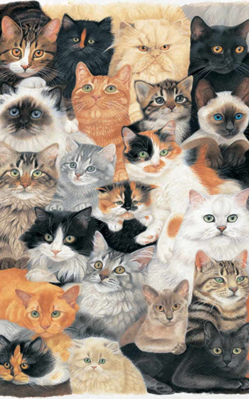 800x1280 Free download Cat Collage Wallpaper wallpaper wallpaper HD background desktop [1024x1356] for your Desktop, Mobile & Tablet. Explore Collage Background. Collage Background, Hypebeast Collage Wallpaper, Custom Photo Collage Wallpaper, Phone