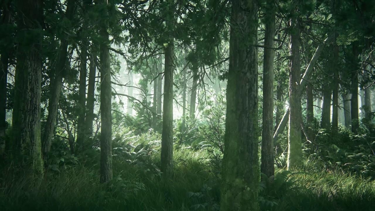 1280x720 TLOU2 Beautiful Forest HD Desktop Wallpaper (Using Wallpaper Engine w/ Download), Desktop