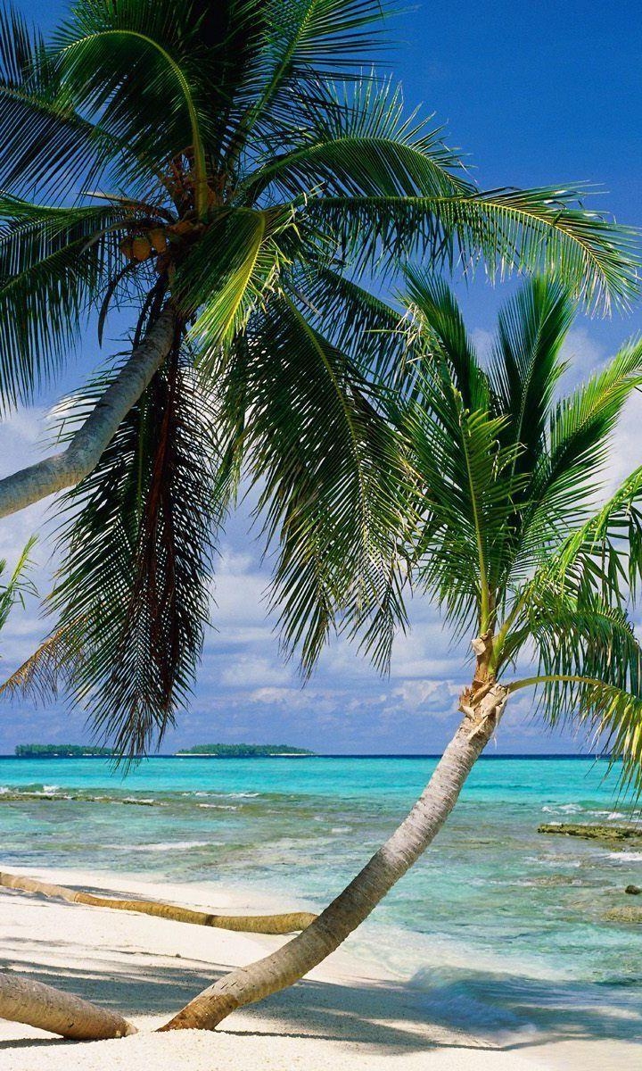 720x1200 Tuvalu Island Wallpaper, Phone