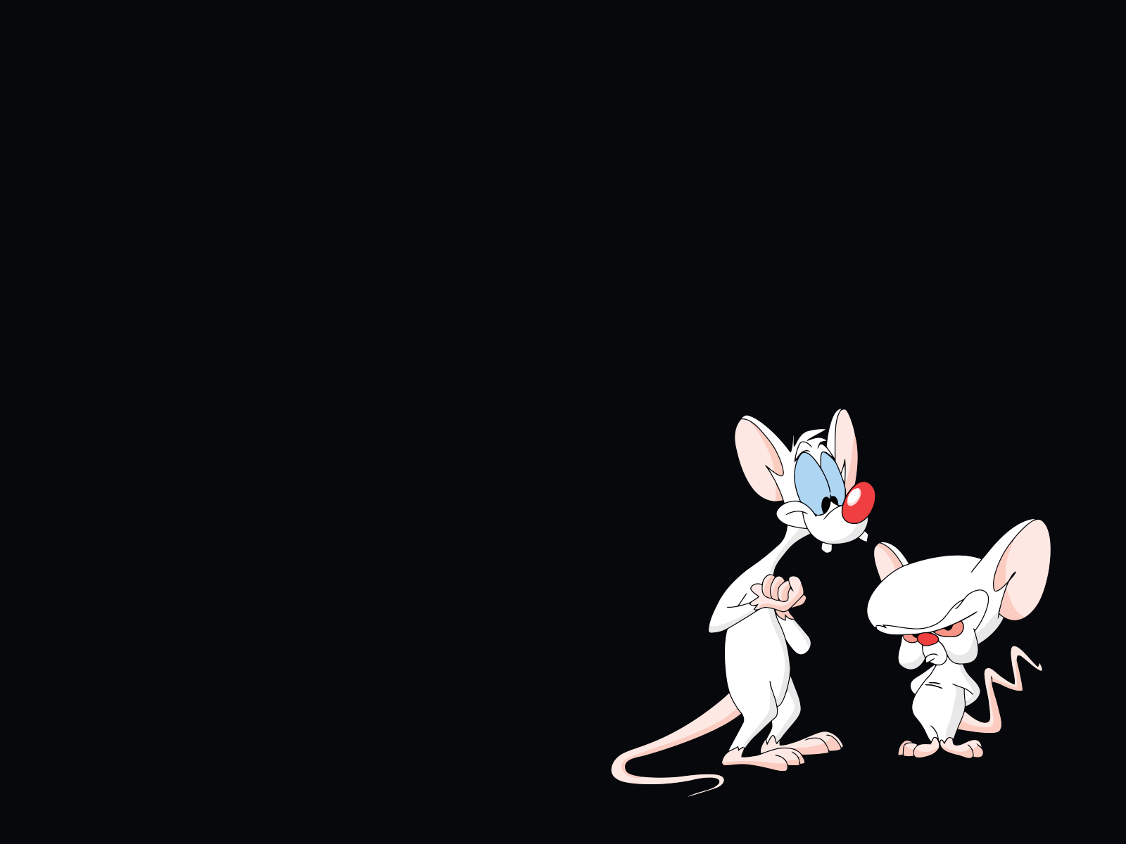 1600x1200 Pinky And The Brain Wallpaper and Background Imagex1200, Desktop