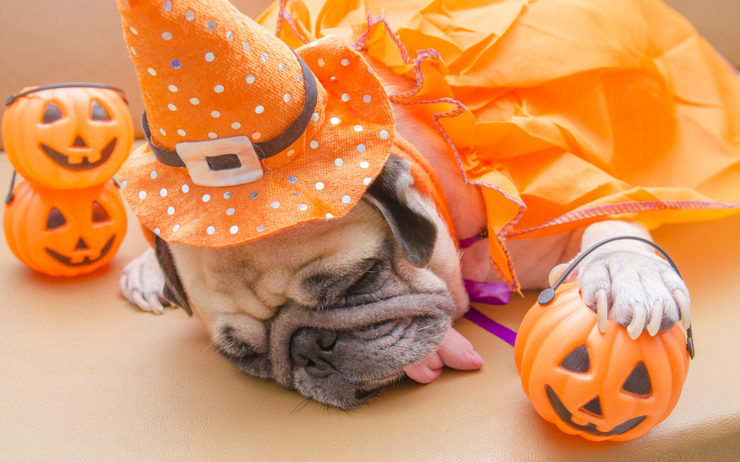 2880x1800 Download wallpaper Pug, Halloween, sleeping dog, tired, Desktop