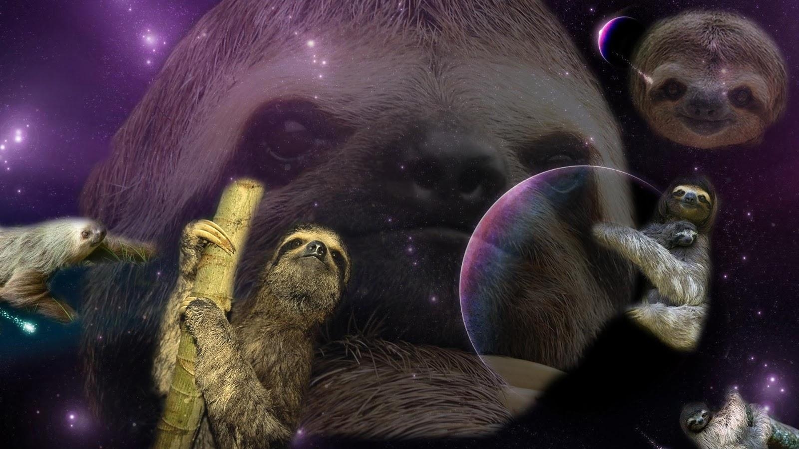 1600x900 Cartoon Sloth iPhone Wallpaper.cuttyanimalss.blogspot.com, Desktop
