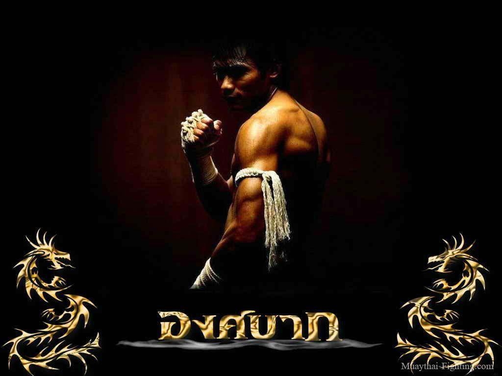 1030x770 Muay Thai Wallpaper HD, Desktop