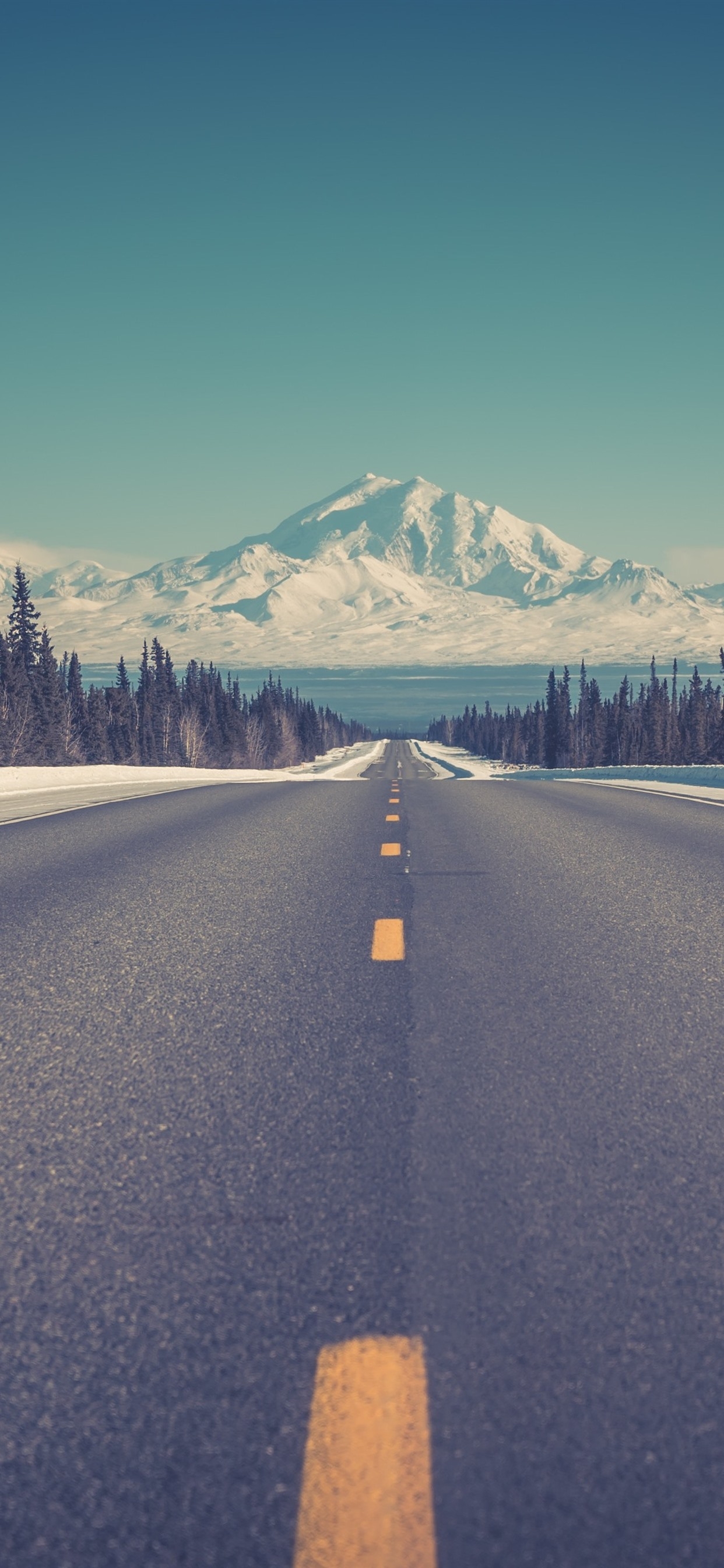 1250x2690 iPhone Wallpaper Mountains, Road, Snow, Winter, Trees Wallpaper iPhone, Phone