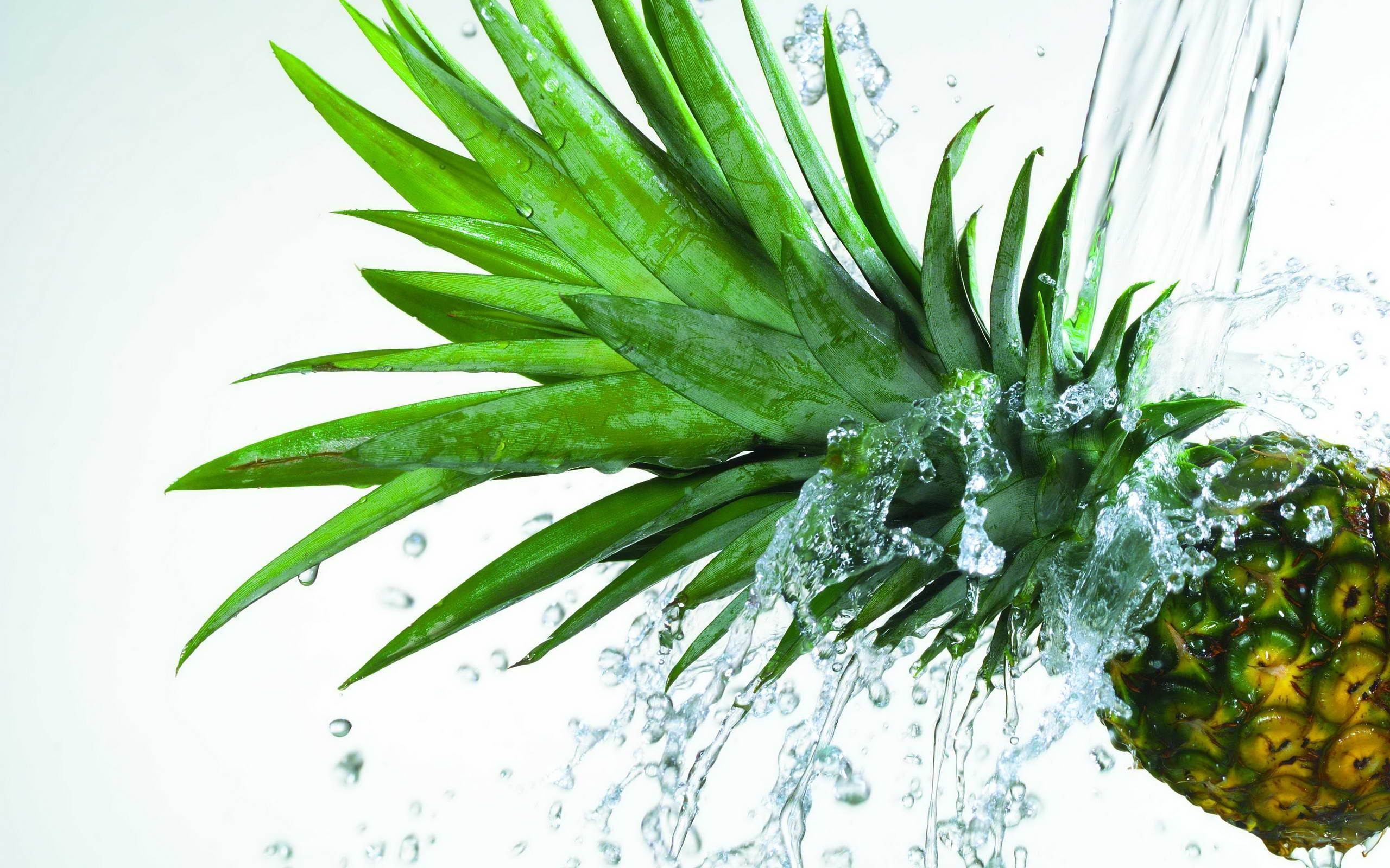 2560x1600 Pineapple HD Wallpaper, Desktop